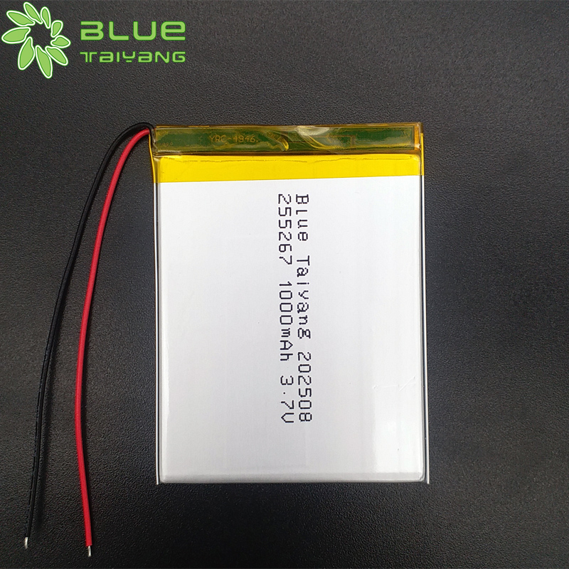 Custom Rechargeable Li Baterry 3.7v 1000mah Lipo Batteriessmall Size