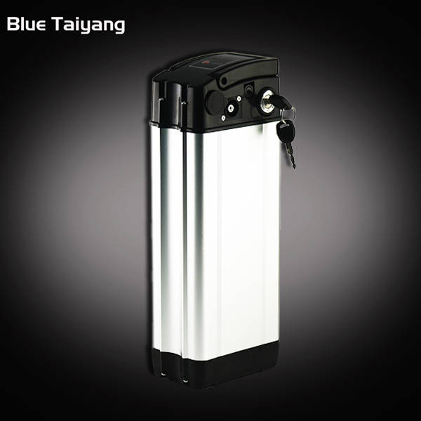 Customized 48V 20ah Electric Bicycle Recharge Battery Pack